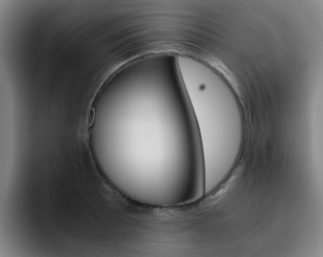 X0000093101089200709260923