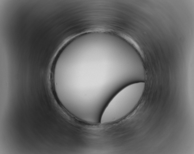 X0000093101091200709260923
