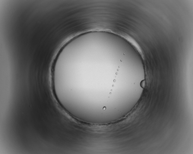 X0000093101096200709260923