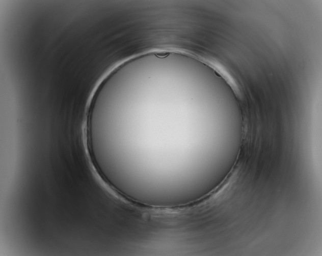 X0000093101100200709260923