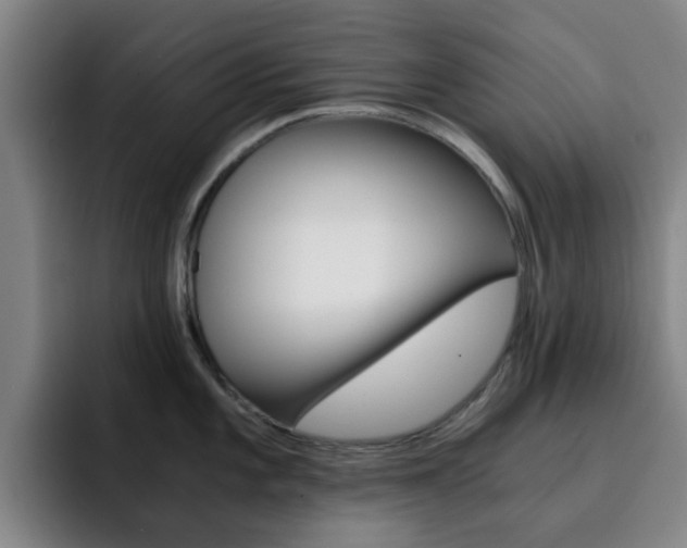 X0000093101101200709260923
