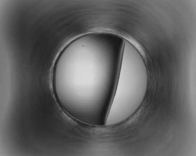 X0000093101102200709260923
