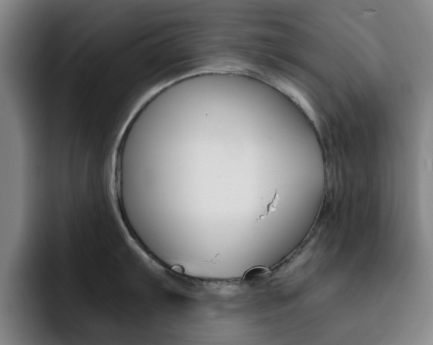 X0000093101103200709260923