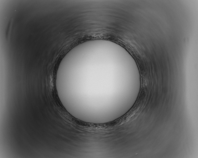 X0000093101106200709260922