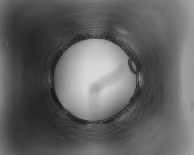 X0000093101107200709260922