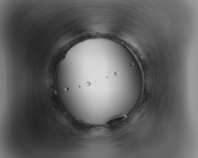 X0000093101112200709260922