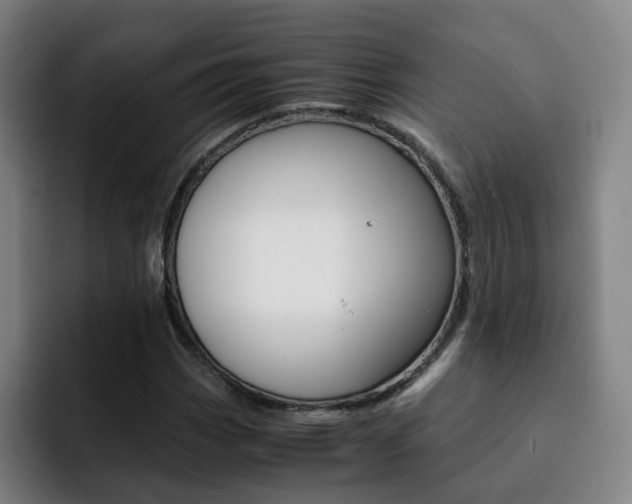 X0000093101113200709260922