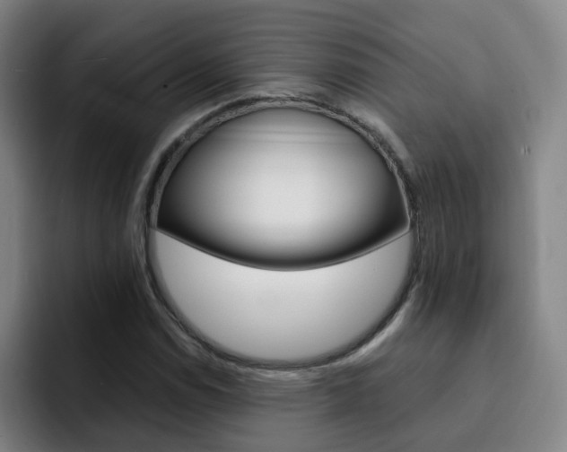 X0000093101114200709260922