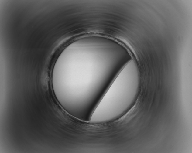 X0000093101115200709260922