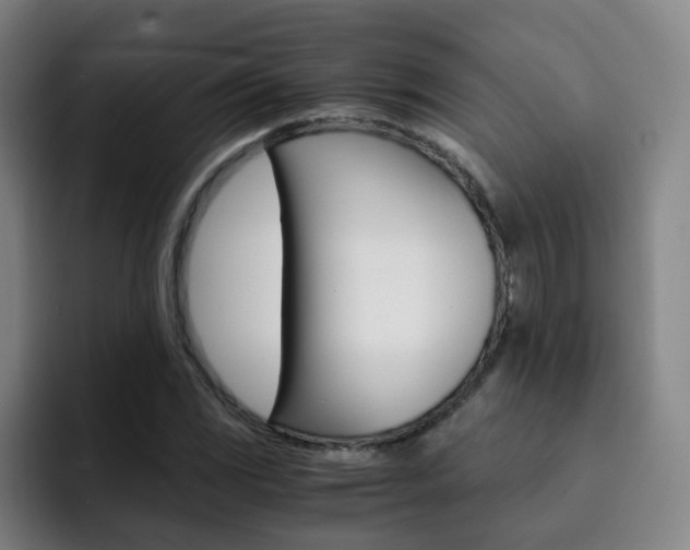 X0000093101117200709260922