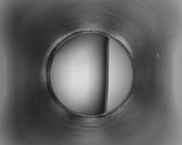 X0000093101120200709260922
