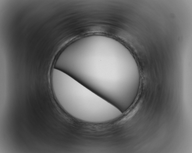 X0000093101121200709260922