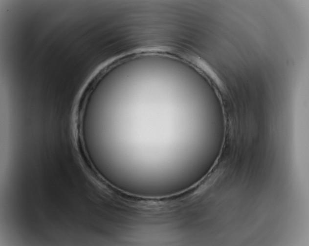 X0000093101124200709260922