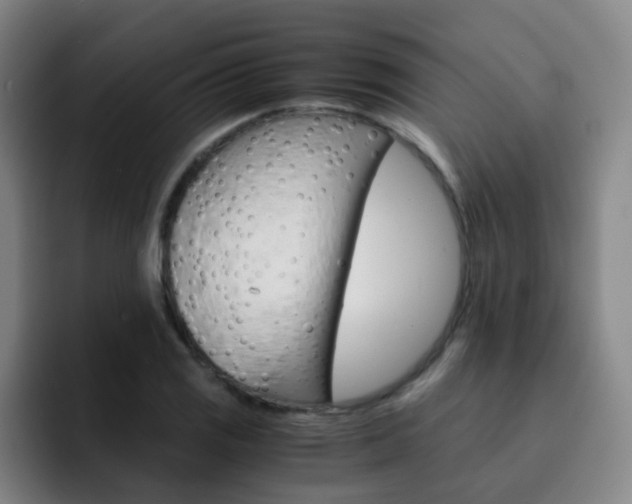 X0000093101125200709260922