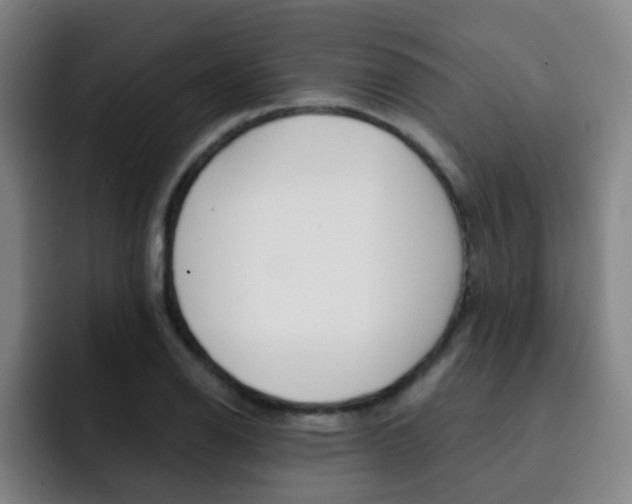 X0000093101126200709260922