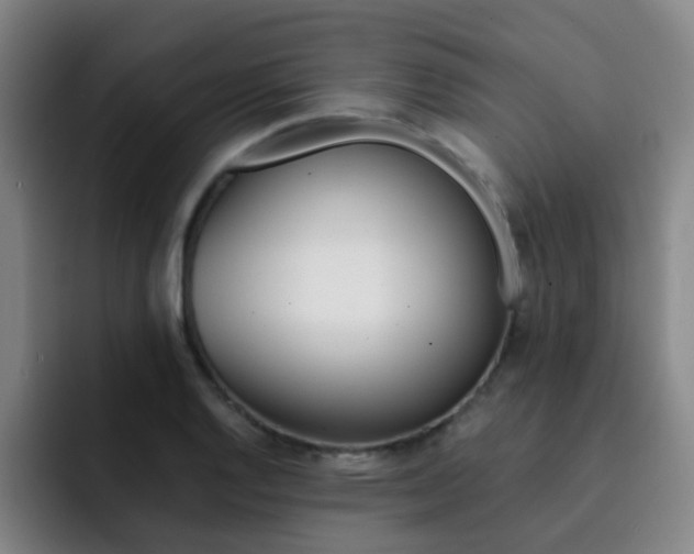 X0000093101128200709260922
