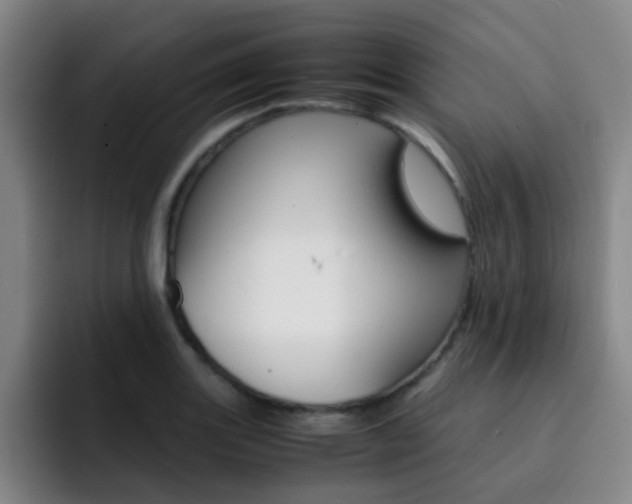 X0000093101131200709260922