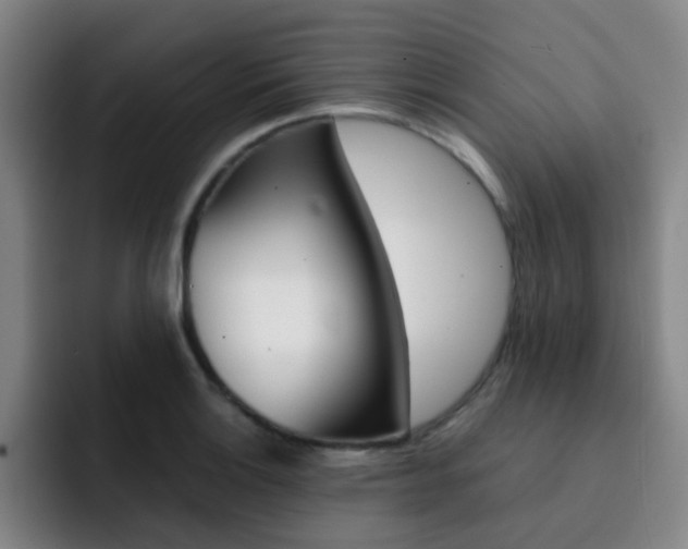 X0000093101132200709260922