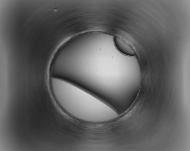 X0000093101135200709260922