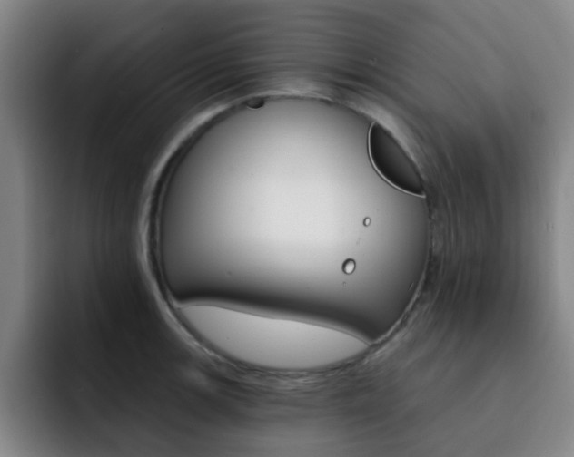 X0000093101139200709260922