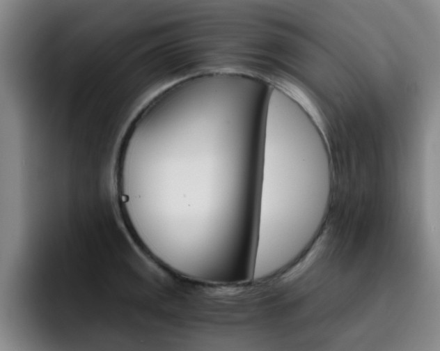 X0000093101141200709260922