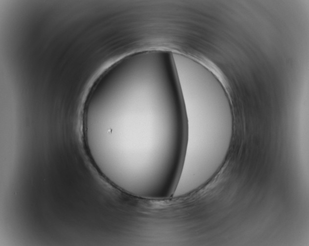 X0000093101144200709260922