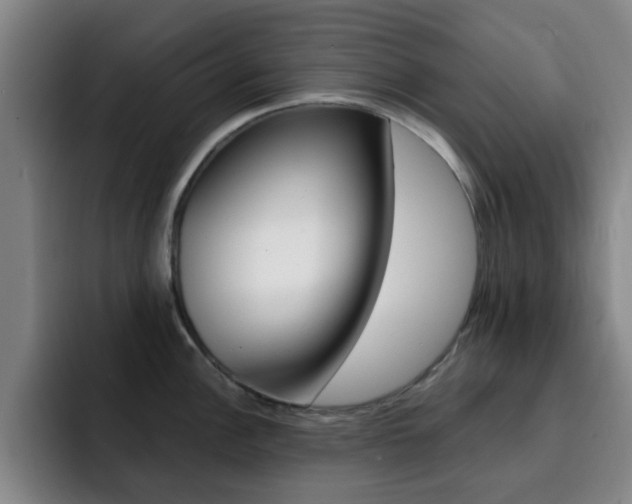 X0000093101148200709260922