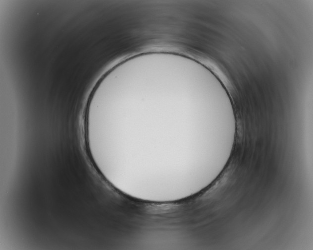 X0000093101150200709260922