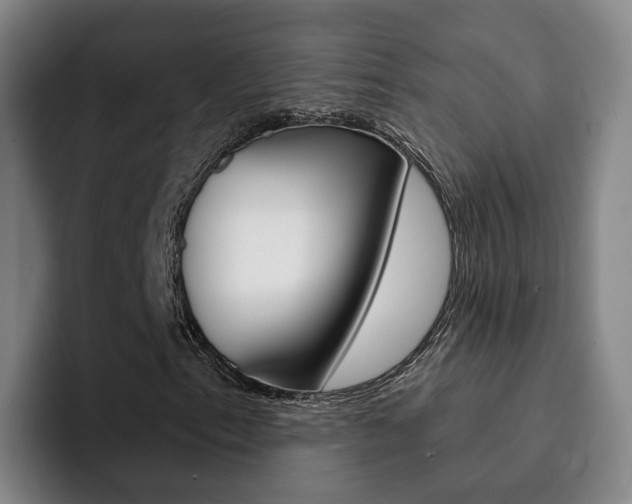 X0000093101153200709260922