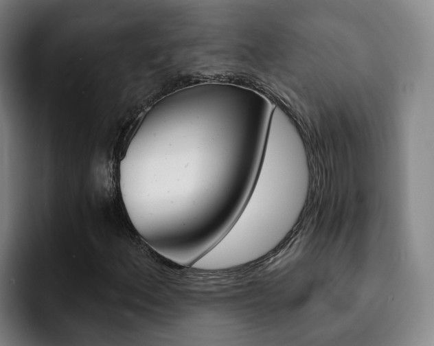 X0000093101156200709260922