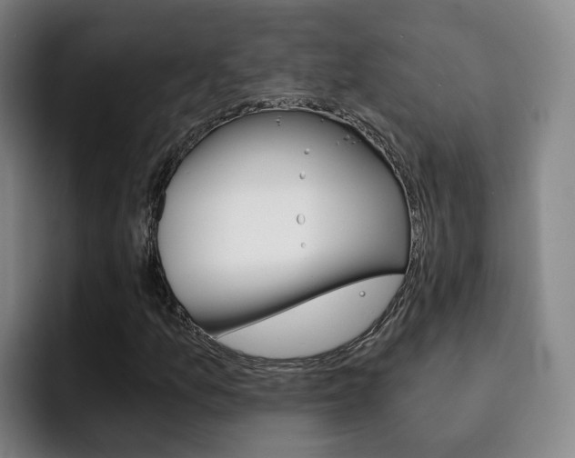 X0000093101157200709260922