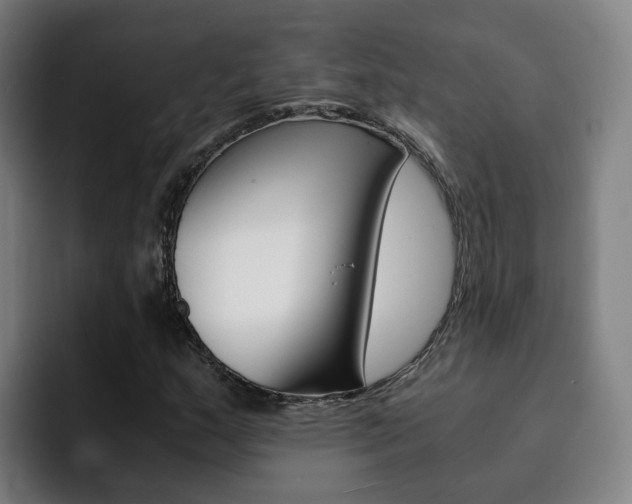X0000093101159200709260922