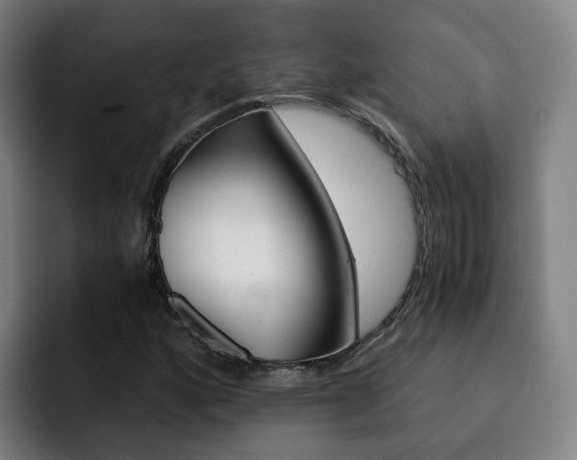 X0000093101160200709260922