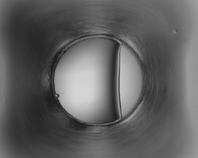 X0000093101163200709260922