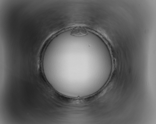 X0000093101165200709260922