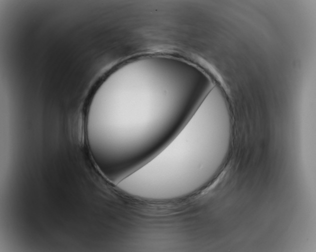 X0000093101171200709260922
