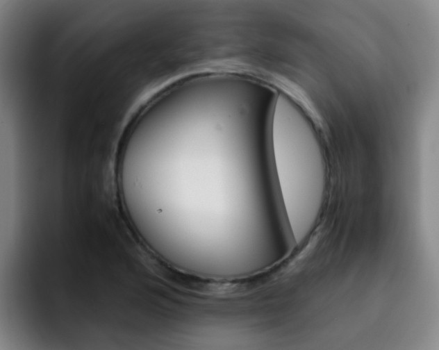 X0000093101176200709260921