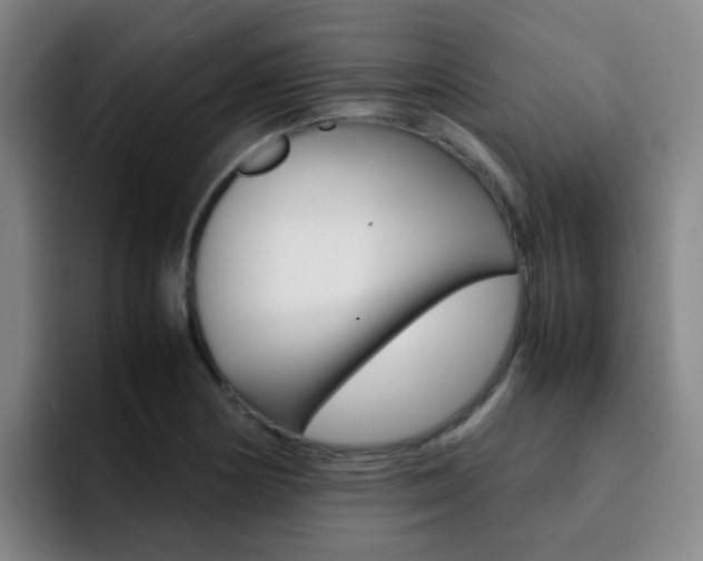 X0000093101178200709260921