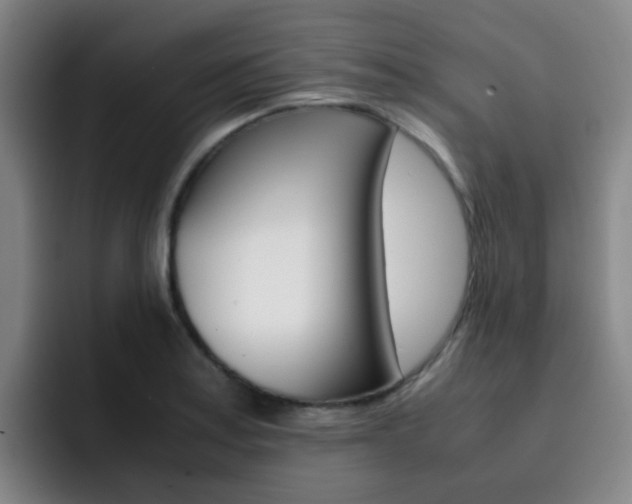 X0000093101179200709260921