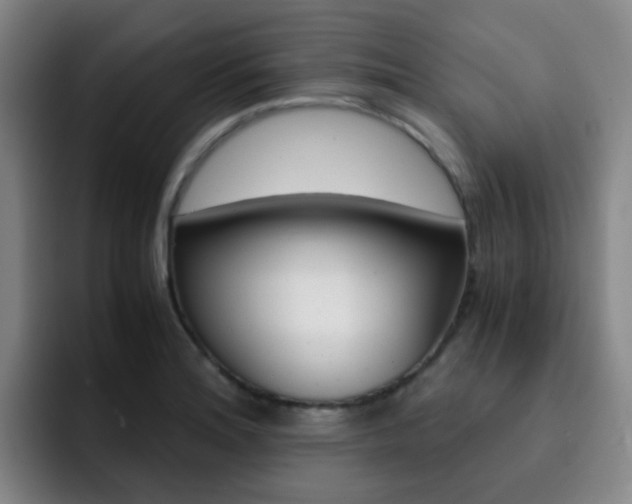 X0000093101180200709260921