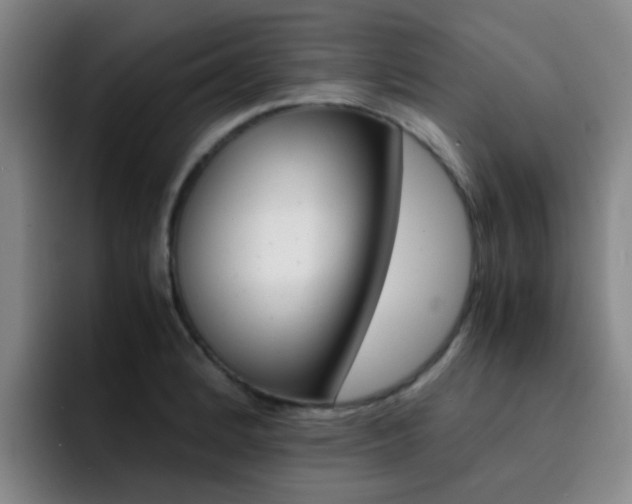 X0000093101184200709260921