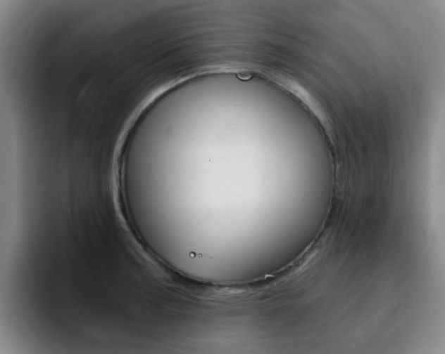 X0000093101187200709260921