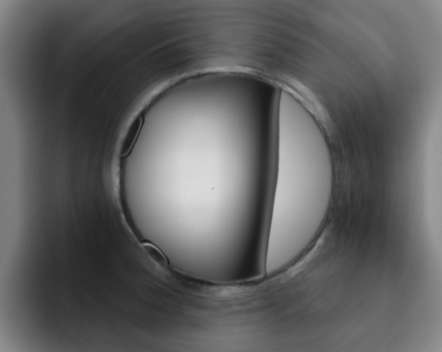 X0000093101188200709260921
