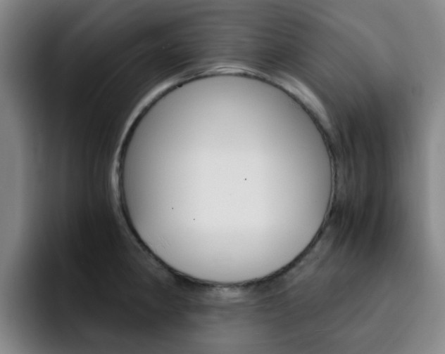 X0000093101190200709260921