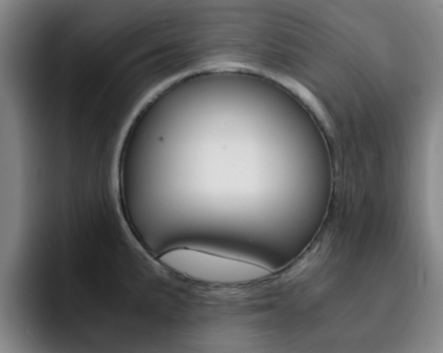 X0000093101191200709260921
