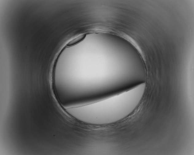 X0000093101195200709260921