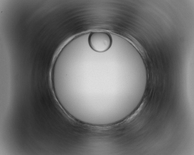 X0000093101196200709260921
