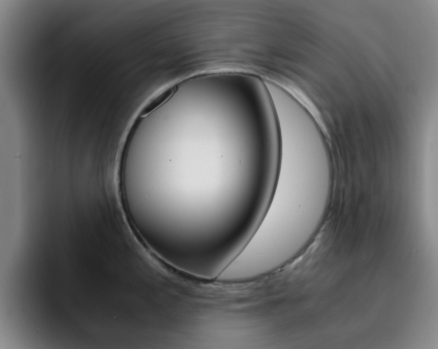 X0000093101197200709260921