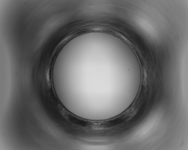 X0000093101198200709260921