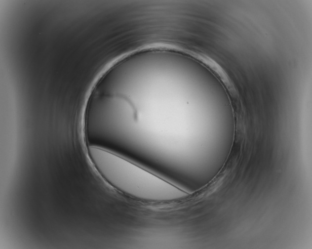 X0000093101199200709260921